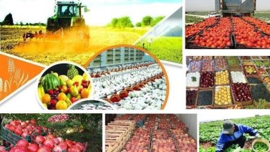 تغییرات مقررات تجاری سال جدید در یک نگاه