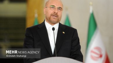 قالیباف: ارز واردات خودرو به ۳ میلیارد دلار افزایش یافت