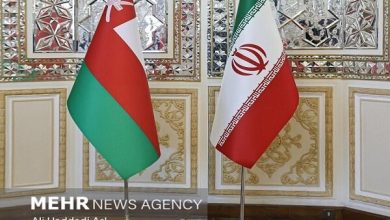 افزایش ۱۶ درصدی صادرات ایران به عمان در ۵ ماه نخست ۱۴۰۴