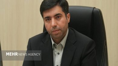 ورود بخش خصوصی به جذب سرمایه‌گذاری خارجی امکان‌پذیر شد