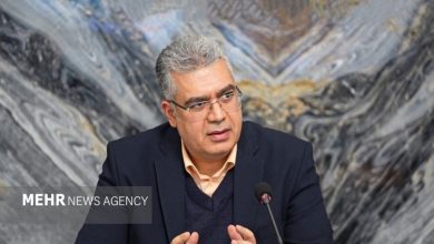 رشد ۱۵۰ درصدی روابط تجاری ایران با اعضای دی هشت