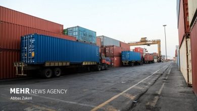 ظرفیت‌های گسترده ایران برای جهش تجاری در گروه D-۸